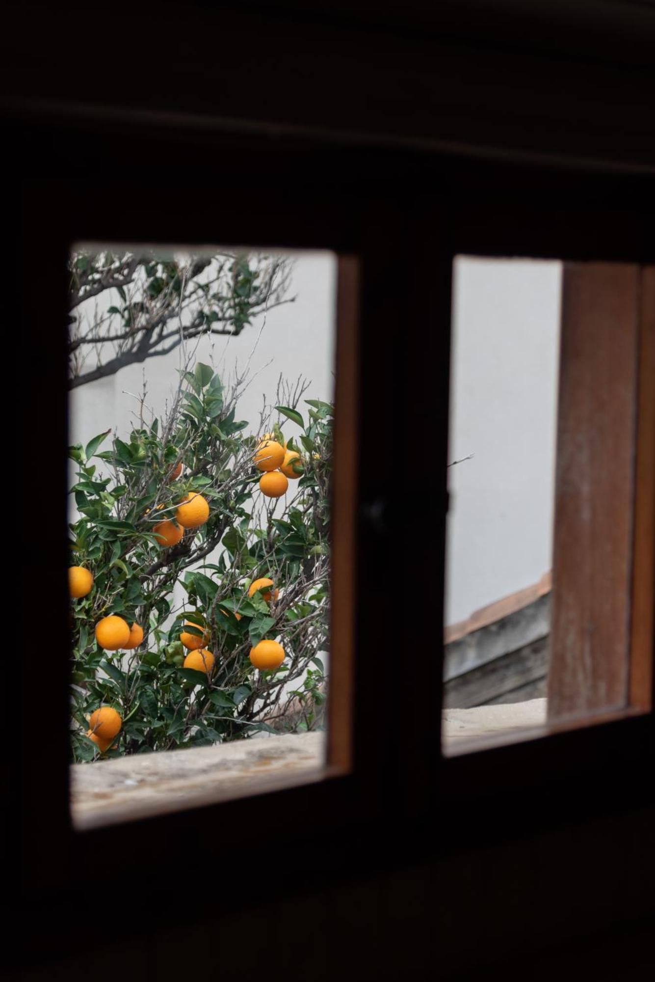 Best Located Duplex Apartment Dubrovnik Exterior foto